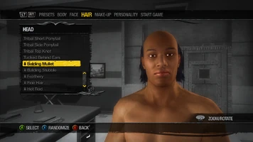 Head Hair - Balding Mullet