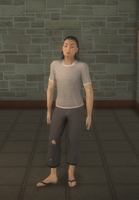 Poor female - asian - character model in Saints Row 2