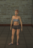 Beach female - hispanic generic - character model in Saints Row 2