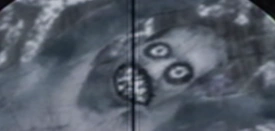 Close up of Mehrman face