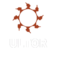 Ultor board chair logo with text