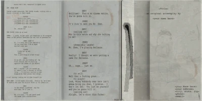 The script used in this mission