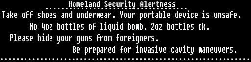 Wardill Airport security gl