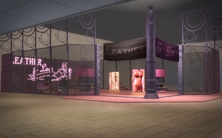 Leather & Lace exterior in Saints Row 2