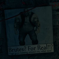 Kinzie's Warehouse - Brute newspaper