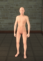 Broken NPC 3 - character model in Saints Row 2