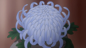 Protect the Emperor's Flower: The Story of Saiunkoku 1