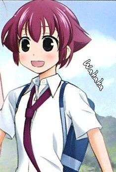 Satomi Kanbara Saki Wiki Fandom