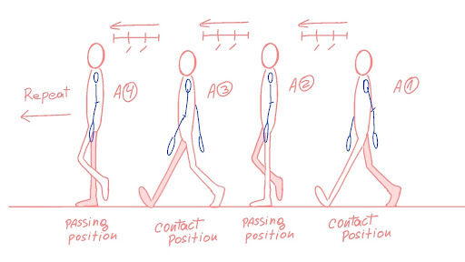 What Is an Animated Walk Cycle and How Can I Make One? | Adobe