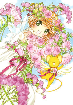 Sakura Card Captor Box Bluray Completo Dublado Full Hd