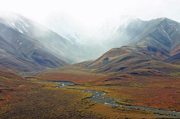 Alaska-mountains-tundra-stream-wilderness