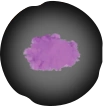 Ritual Powder | Salt 2: Shores of Gold Wiki | Fandom