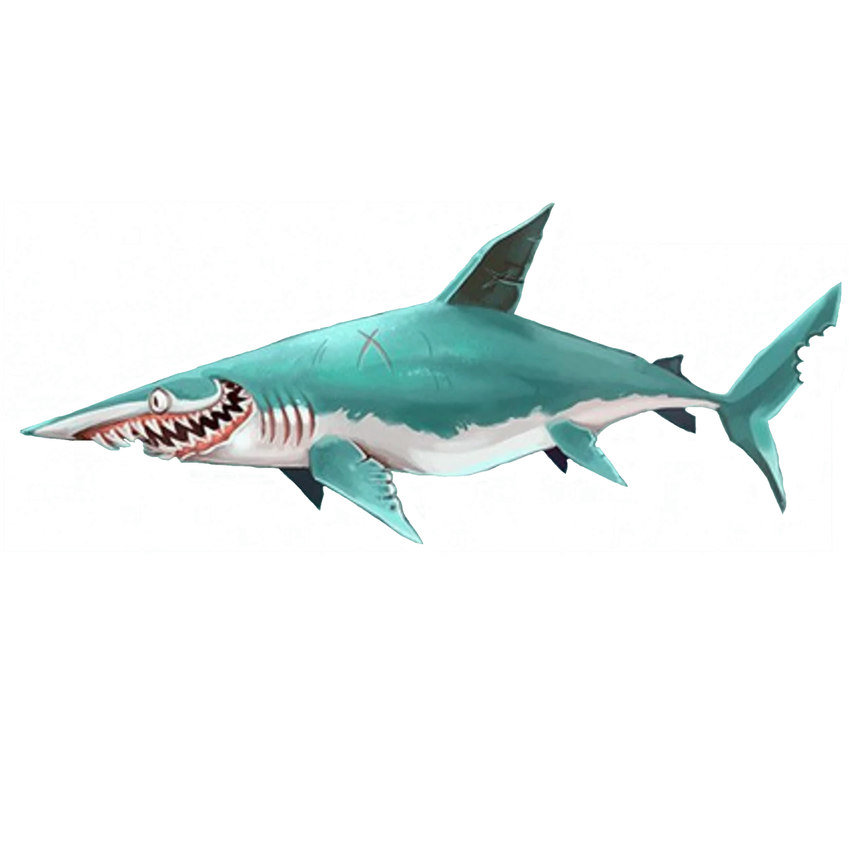 Mako shark Sam and zac Wiki Fandom