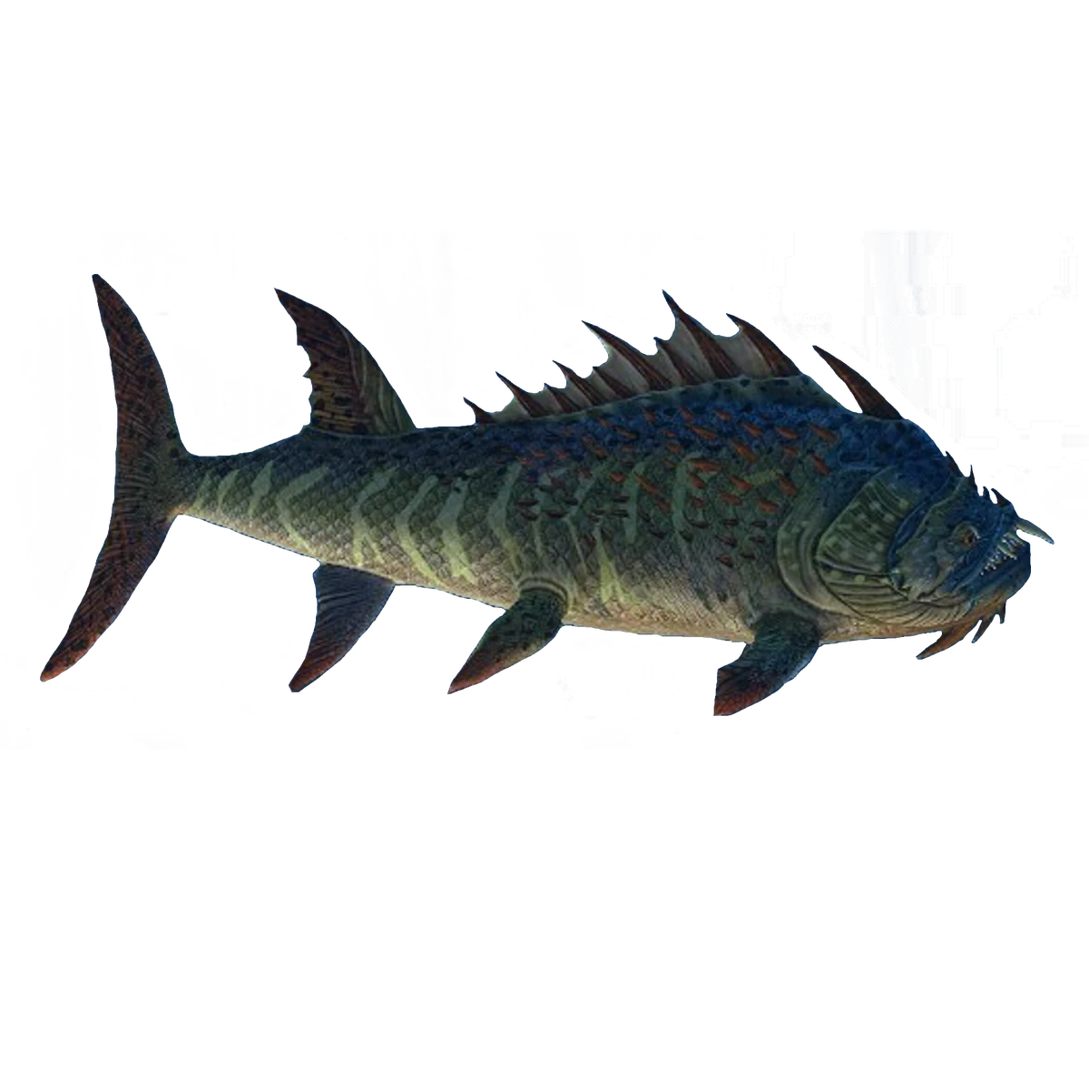 Xiphactinus Sam and zac Wiki Fandom