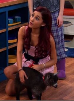 Gallery NewGoat Sam and Cat Wiki Fandom