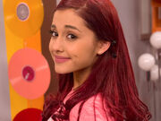 Cat wearing earrings.jpg