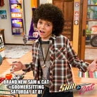 Dice in GoomerSitting