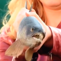 Kansas razorback tuna fish clearance