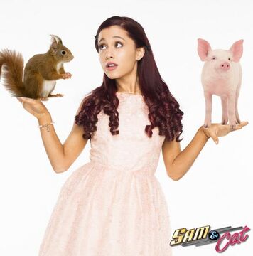 Ariana needs your help!