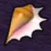 Demo Conch