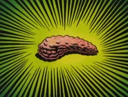 ...The Pancreas.