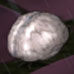 Tt203 item brain.jpg