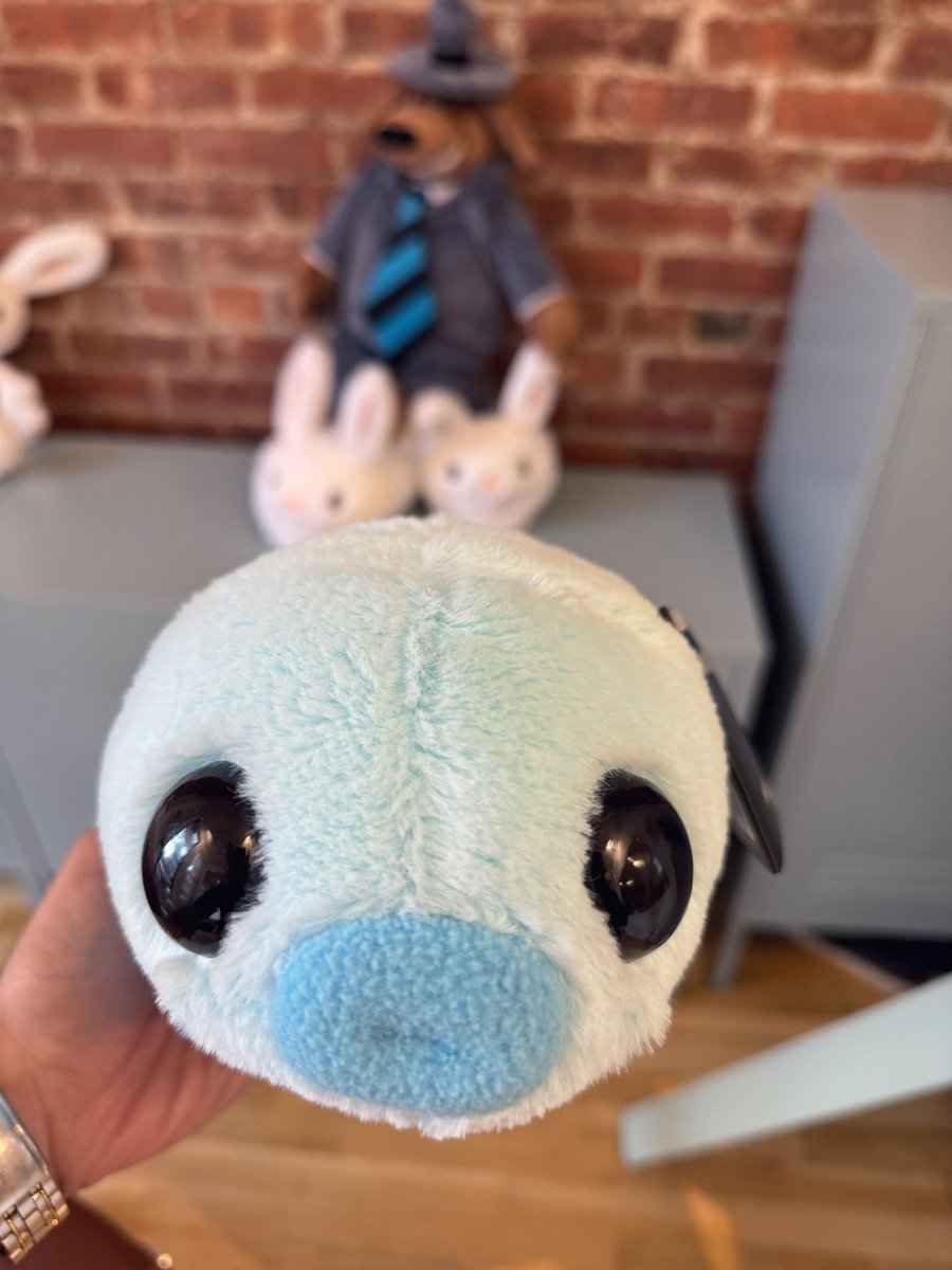 max slippers