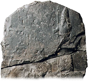 Nabukudurriussur II (quos namo maynt "Nabu, uperwakh mien hered") buit is dwot roy ios Neobabyloni Imperium, regnend ex 605 do sieno mohrt in 562 pre JC. Is est ayn is megst roy tos imperium, fameus ob sien woinas in Schark ed ir rol in Yudi historia, ed pro sien constructionsprojects in sieno nagor Babylon, pati ia Hangend Gardens. Eys 43yaro regne buit is longst ios Babyloni dynastia. Kun is mohr, is eet bayna tienxia staurst wanaks