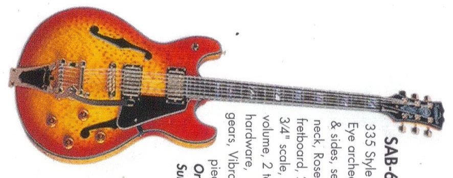 【SAMICK】SAN-451 (改) セミアコ 買取実績 |Samick（サミック）セミアコ SAN45 - 京都の楽器買取 かい