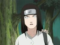 300px-Neji 001