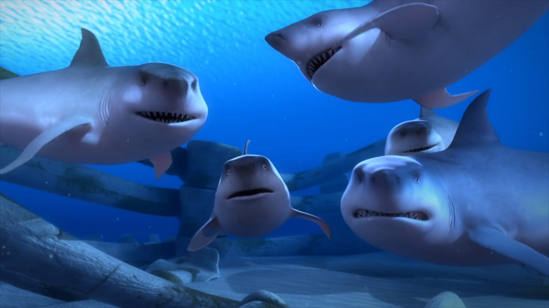 Sammy Shark Sammy Shark