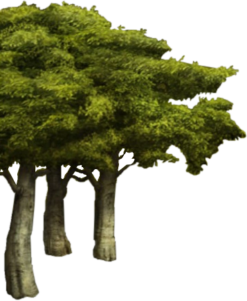 Trees Samorost Wiki Fandom