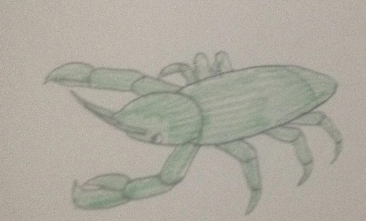 Coconut crab Sam's Zoo Wiki Fandom