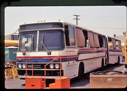 Crown Ikarus 286, SamTrans Wiki