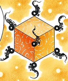 Pandora's Box | Samurai 8 Wiki | Fandom