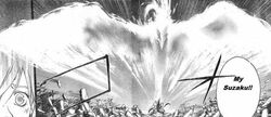 Kyoshiro's Suzaku
