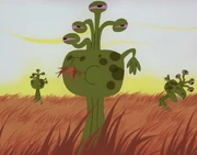 The Four-Eyed Aliens