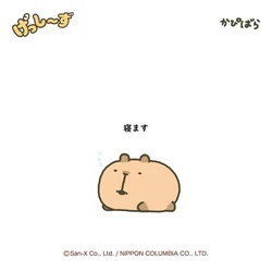 Kapibara | San-x Wiki | Fandom