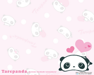 Tarepandawallpaper8