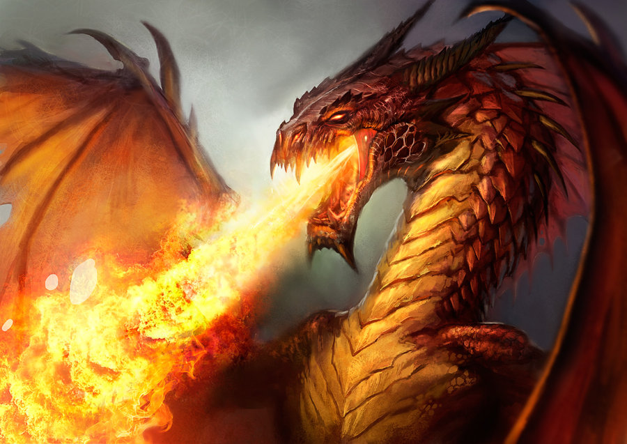 Le dragon de Calais, des débuts « tout feu, tout flamme
