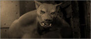 Edward Meyers mental image of Henry Foss as a werewolf.