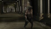 Praxis lizard creature