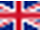 FlagIcon UK small.png
