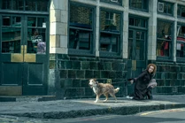 SANDMAN 210 Unit 01601RC.jpg (8.19 MB)