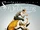 The Dreaming (The Sandman Universe)