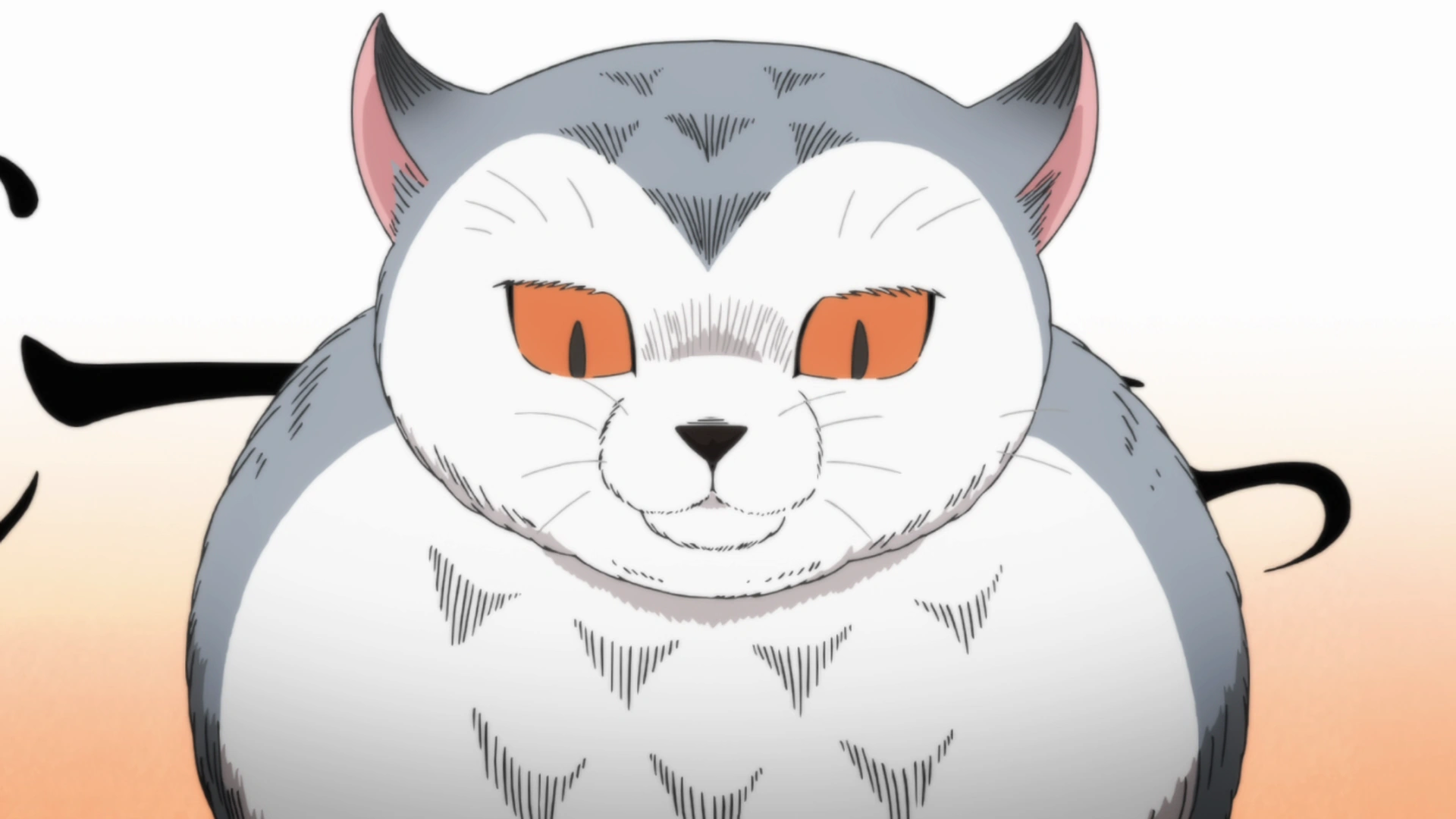 月猫様 Fuku-chan | March Comes in Like a Lion Wiki | Fandom