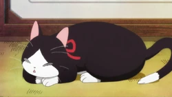 Kuro Chan March Comes In Like A Lion Wiki Fandom