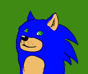 Doge Sanic fusion