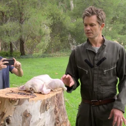 Santa Clarita Diet Wiki Fandom Meanwhile, ramona wants eric, the fbi wants answers, and poor mr. santa clarita diet wiki fandom