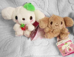 Berry Puppy | San-X Wiki | Fandom